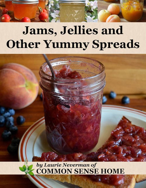 Jams, Jellies, and Other Yummy Spreads ebook