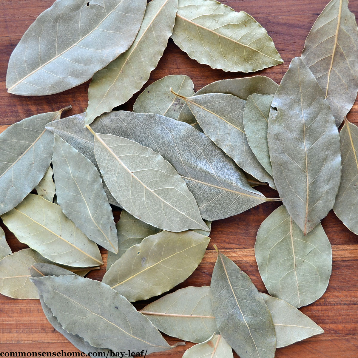 dried bay leaves