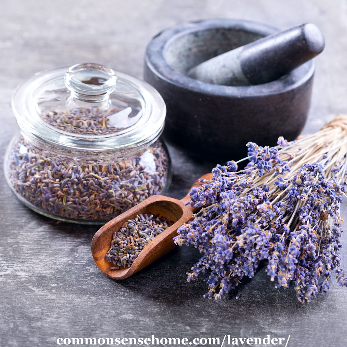 dried lavender blossoms for cooking, crafts, or medicine