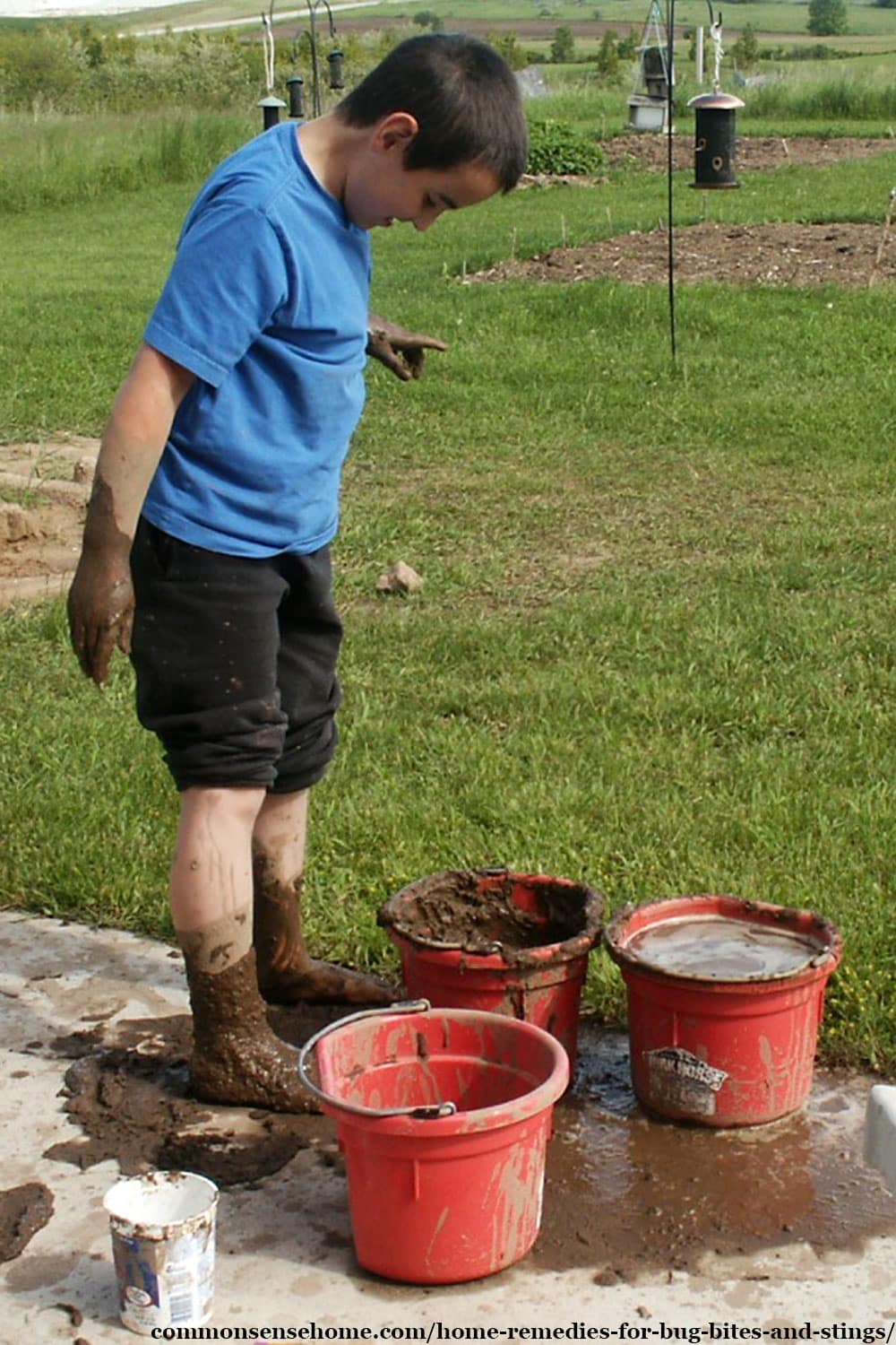 mud for bug bites and stings