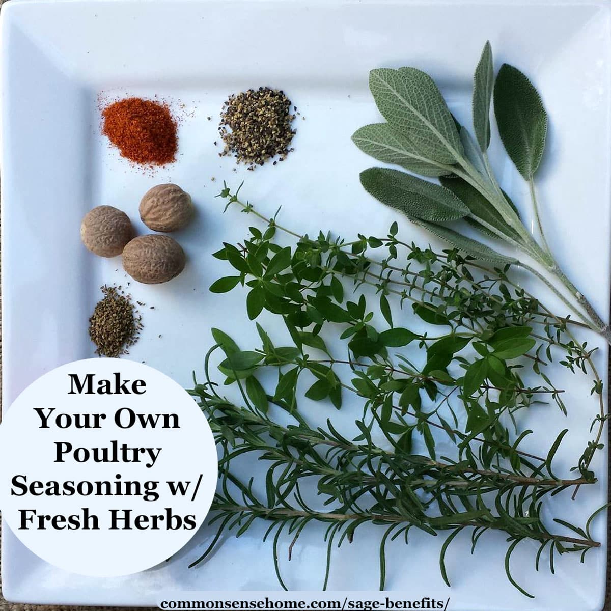 https://commonsensehome.com/wp-content/uploads/2021/05/sage-poultry-seasoning-recipe.jpg