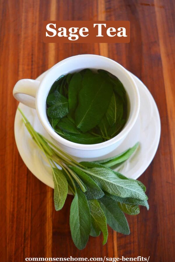 Sage Benefits for Home, Health and Personal Care