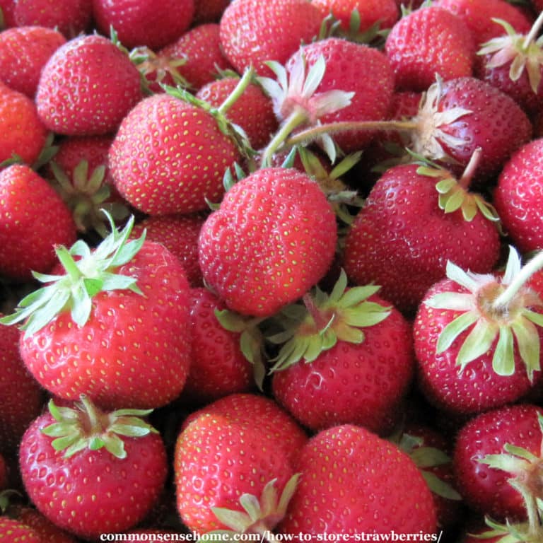 How to Store Strawberries 12 Ways