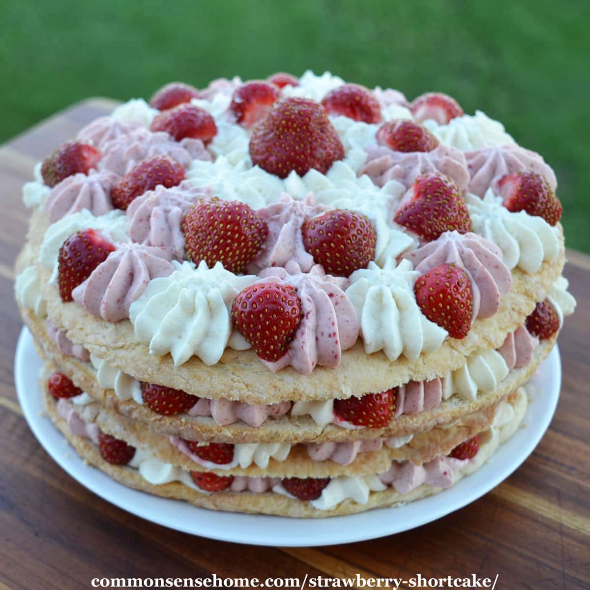 Strawberry Shortcake Recipe with Strawberry Whipped Cream