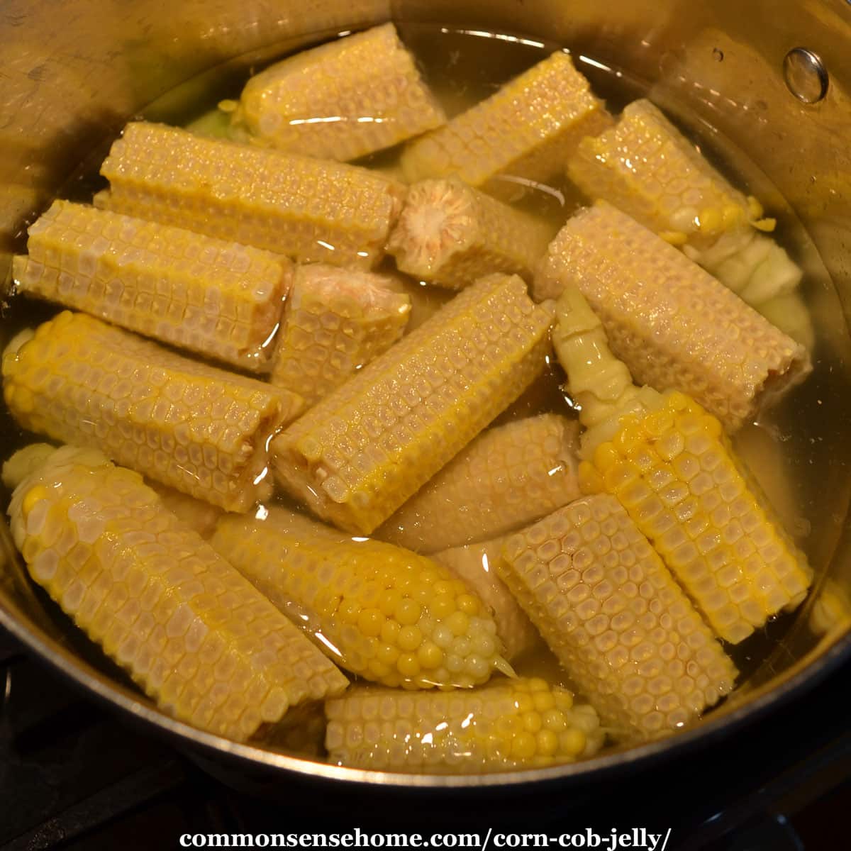 corn cobs in pot