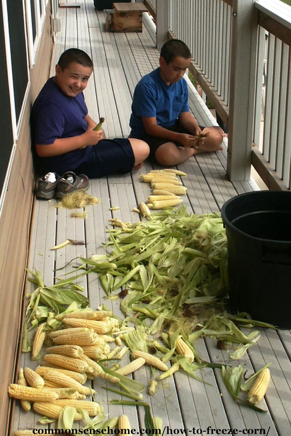 husking corn