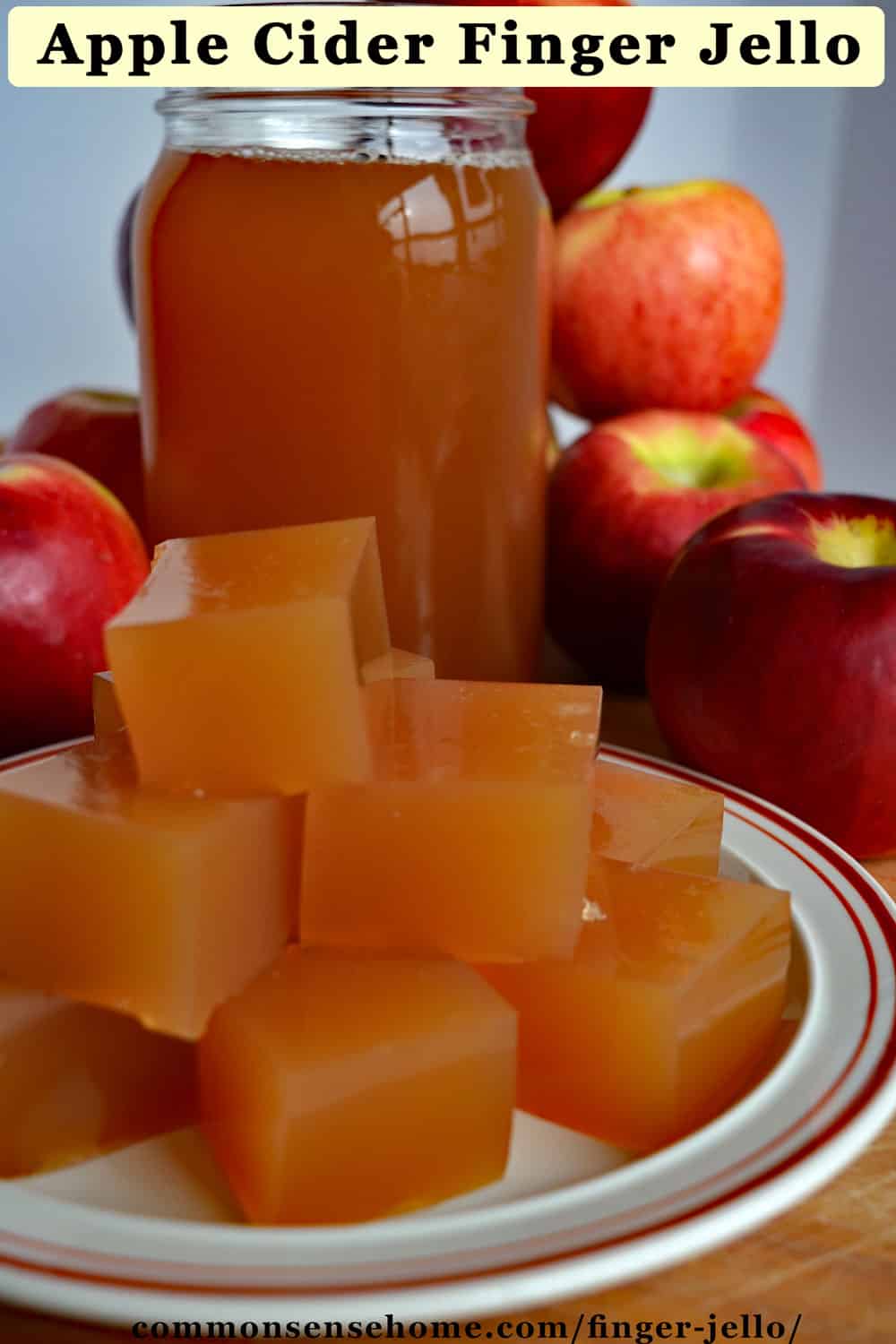 Finger Jello Made with Fruit Juice and Gelatin