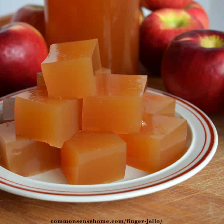 Finger Jello Made with Fruit Juice and Gelatin