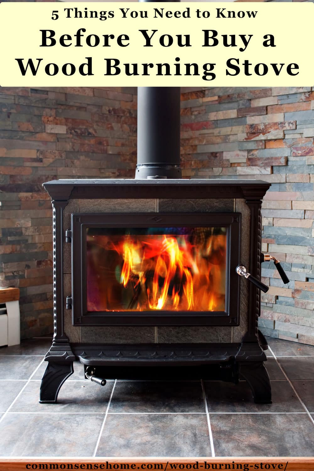 text "5 Things You Need to Know Before You Buy a Wood Burning Stove" with wood burning stove below