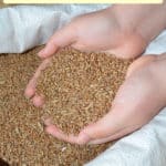 text "Bulk Grain - Where to Get it, How to Store it" with image of hands holding wheat berries