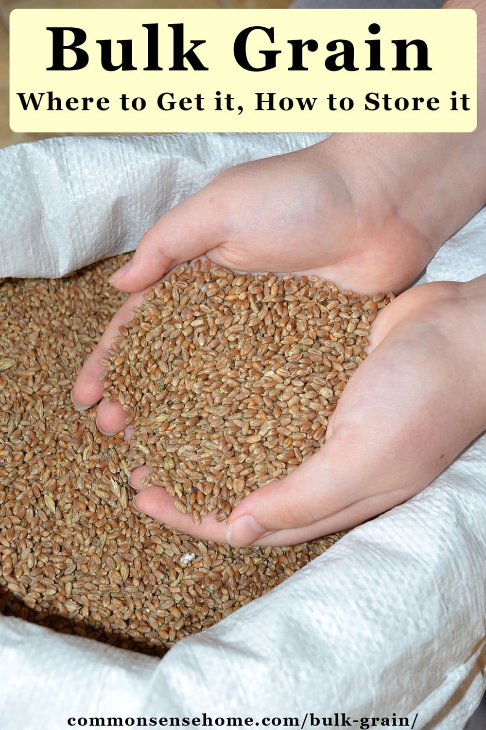 text "Bulk Grain - Where to Get it, How to Store it" with image of hands holding wheat berries