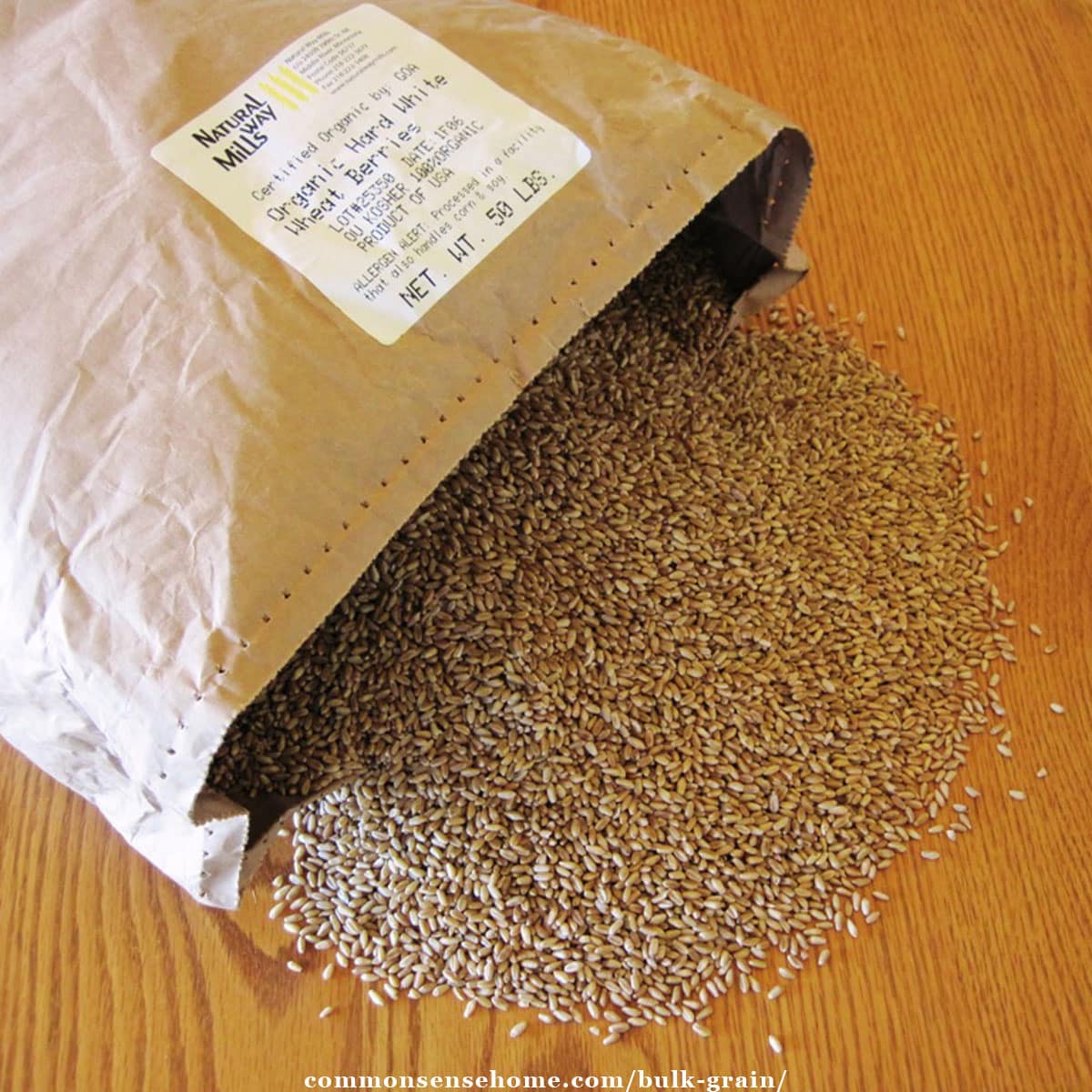 bag of bulk grain