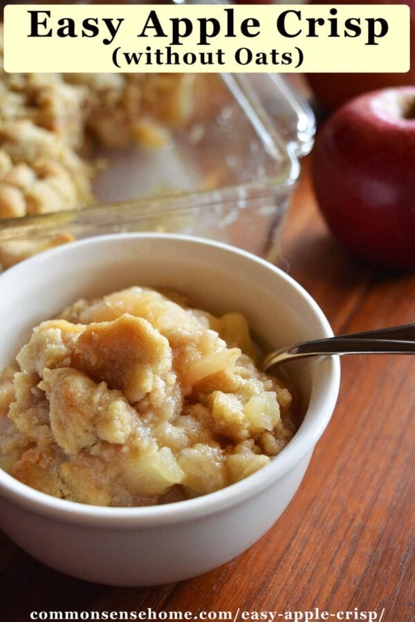 Easy Apple Crisp Without Oats