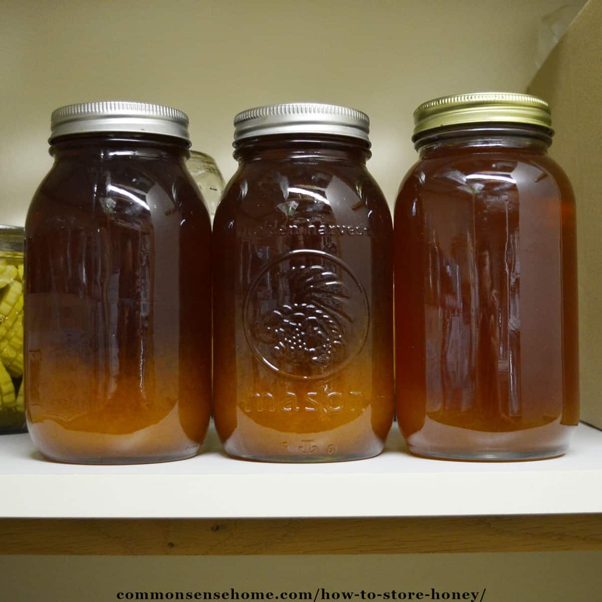 Homestead Small Airtight Glass Jar with Acacia Lid