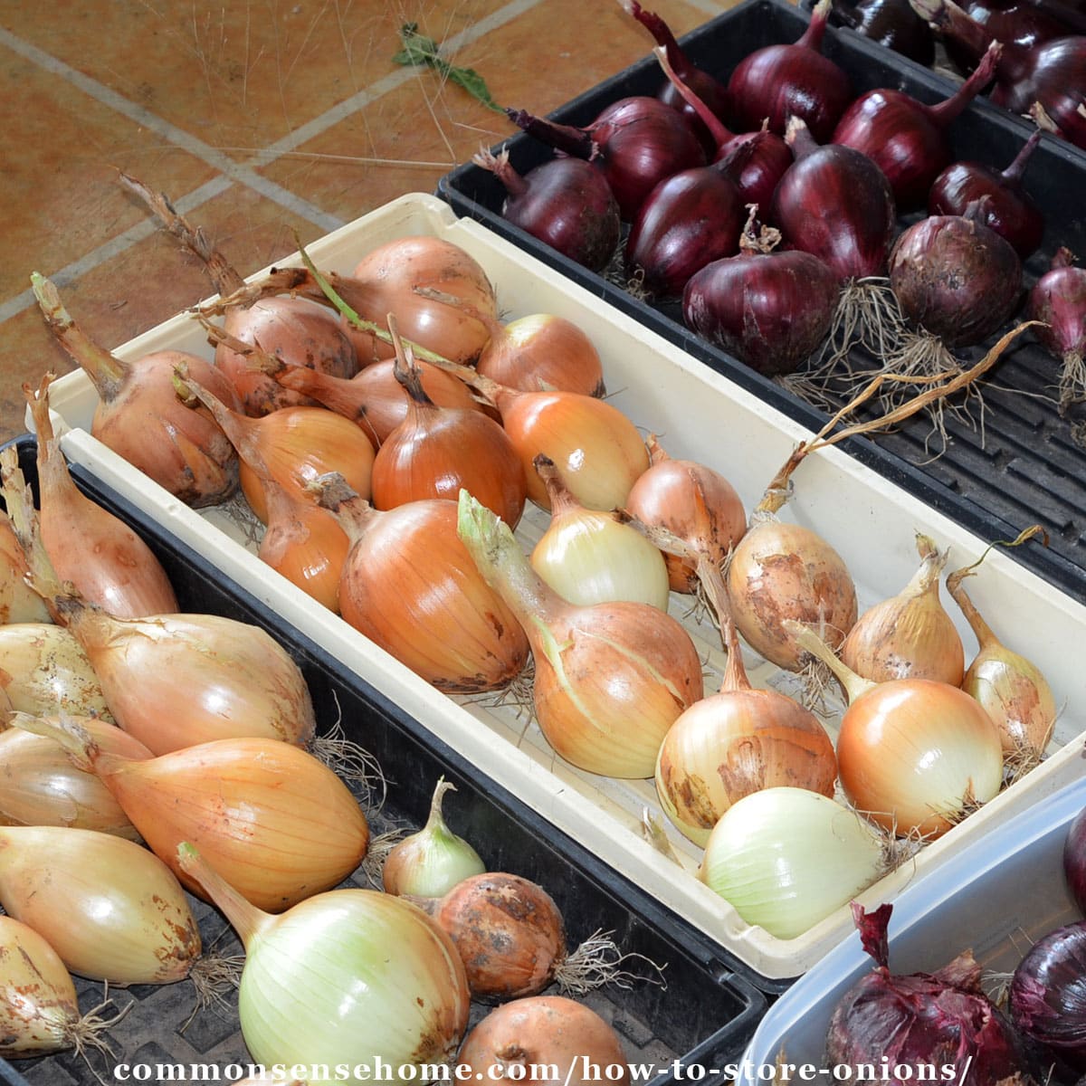 How to Store Onions So They Last Longer Than Your Most Recent Relationship