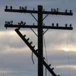 10 Reasons for Power Grid Failure