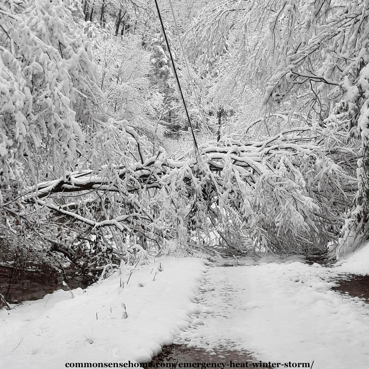 Emergency home heat - Utah Preppers