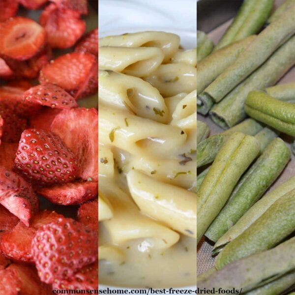 8 Best Freeze Dried Foods (For Prepping & Long Term Food Storage)