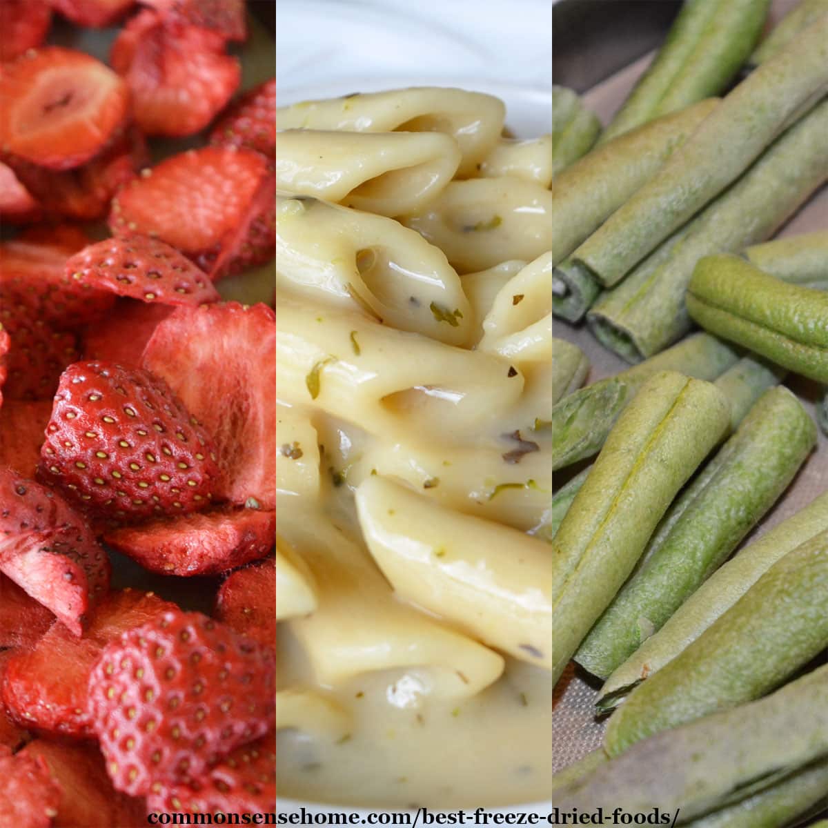 freeze dried foods - strawberries, pasta, green beans