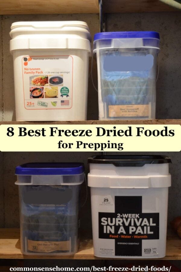 8 Best Freeze Dried Foods (For Prepping & Long Term Food Storage)