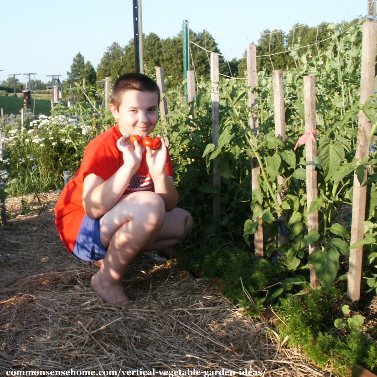 boy next to vertical vegetable garden plantings