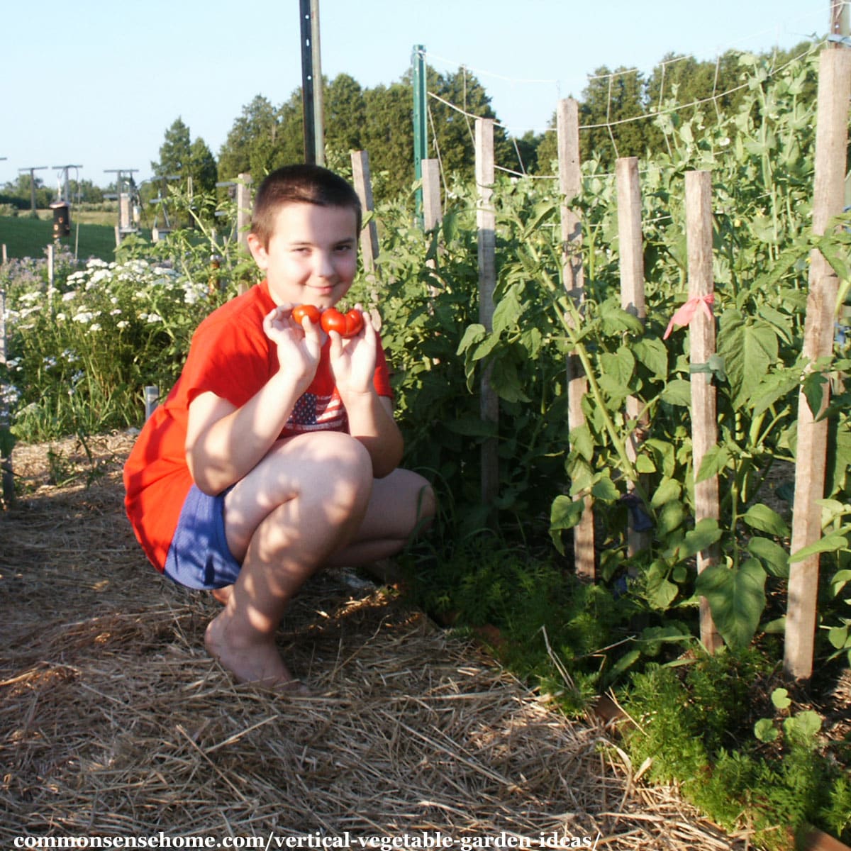 vertical vegetable garden design