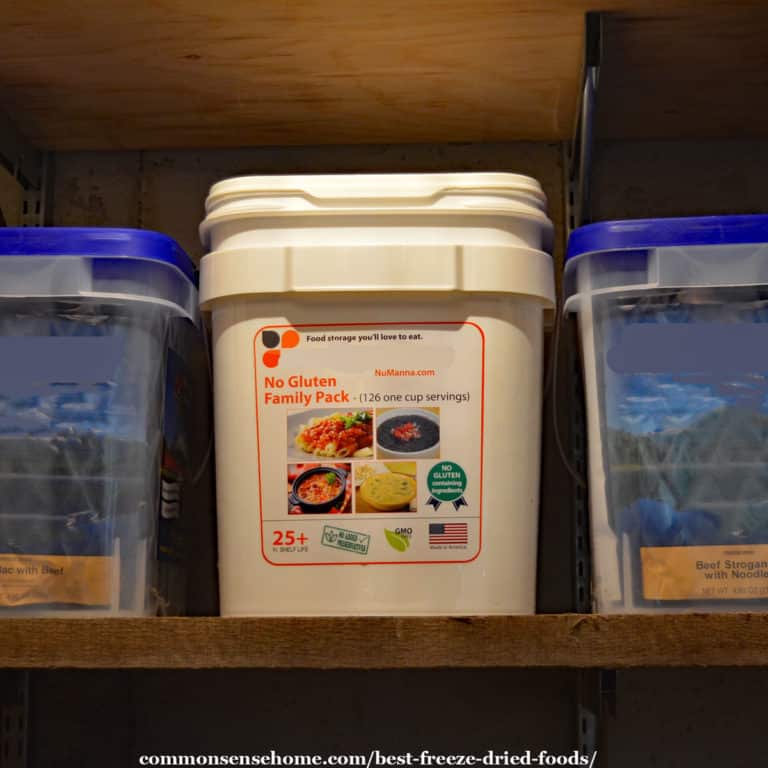 8 Best Freeze Dried Foods (For Prepping & Long Term Storage)