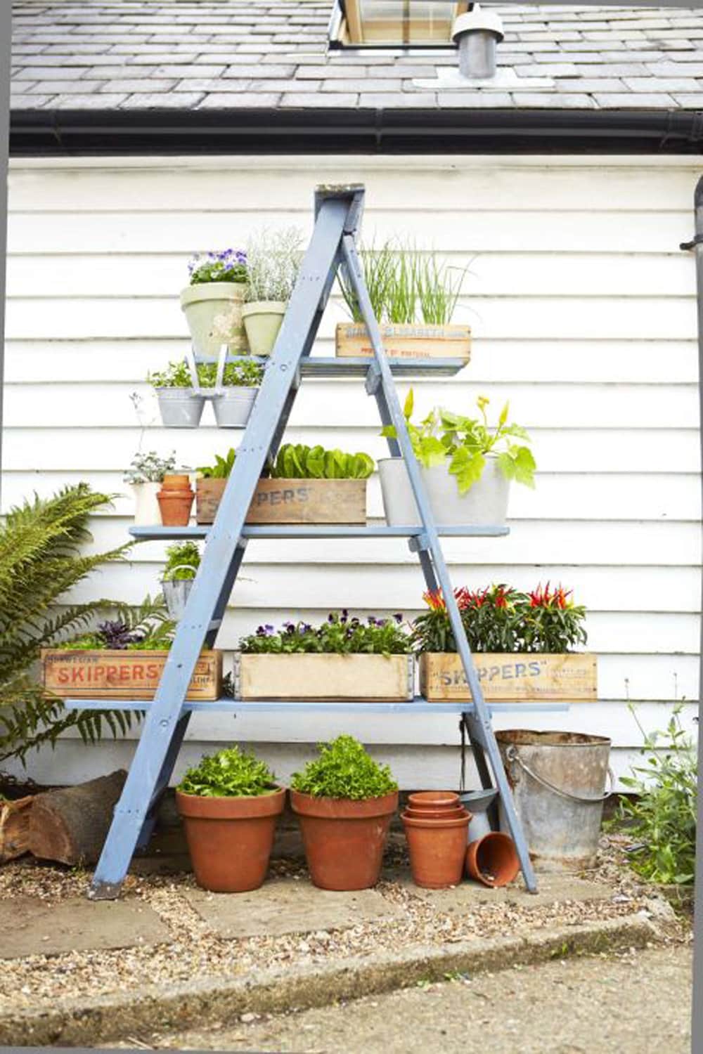 ladder garden