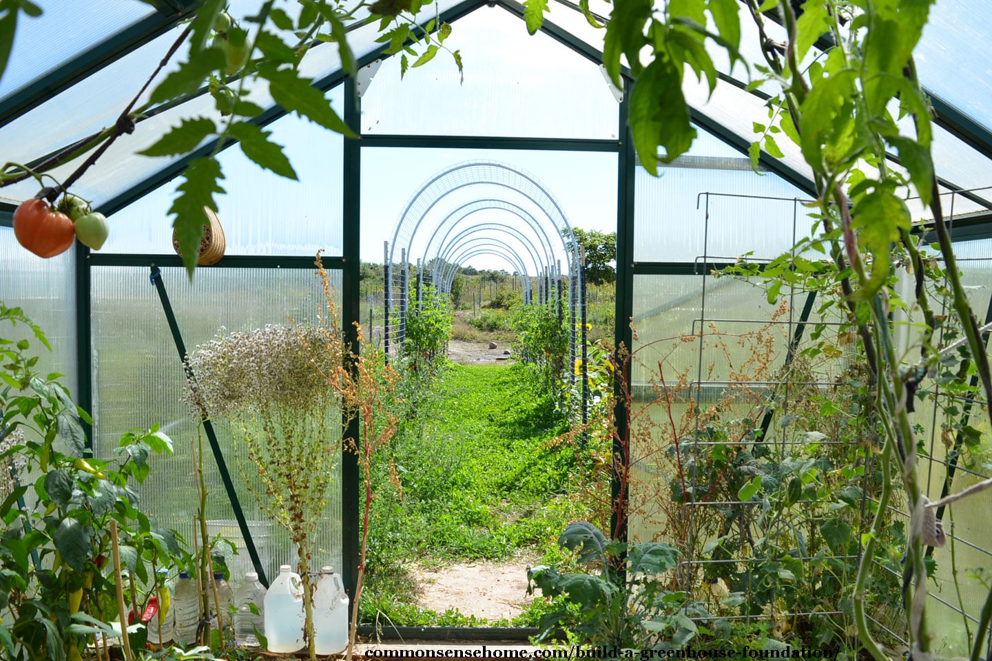 wire trellis arches