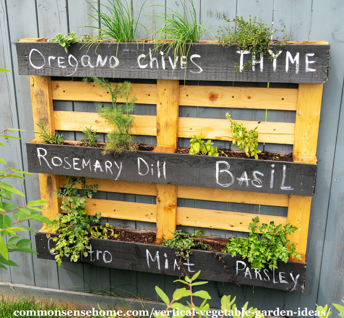 pallet vertical herb garden