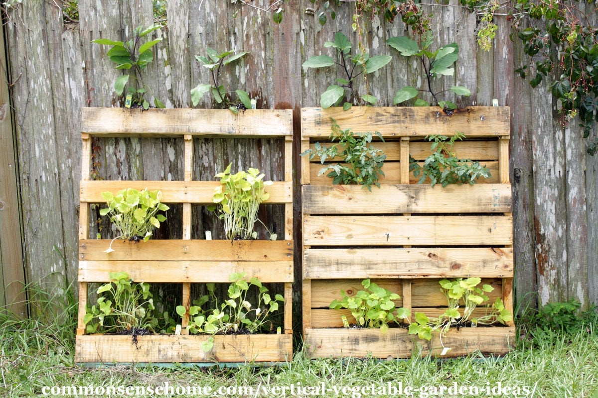 DIY: Mini-potager vertical en palette - Mango and Salt