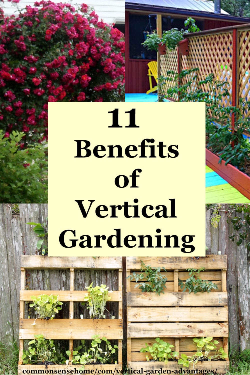 11 Benefits of Vertical Gardening