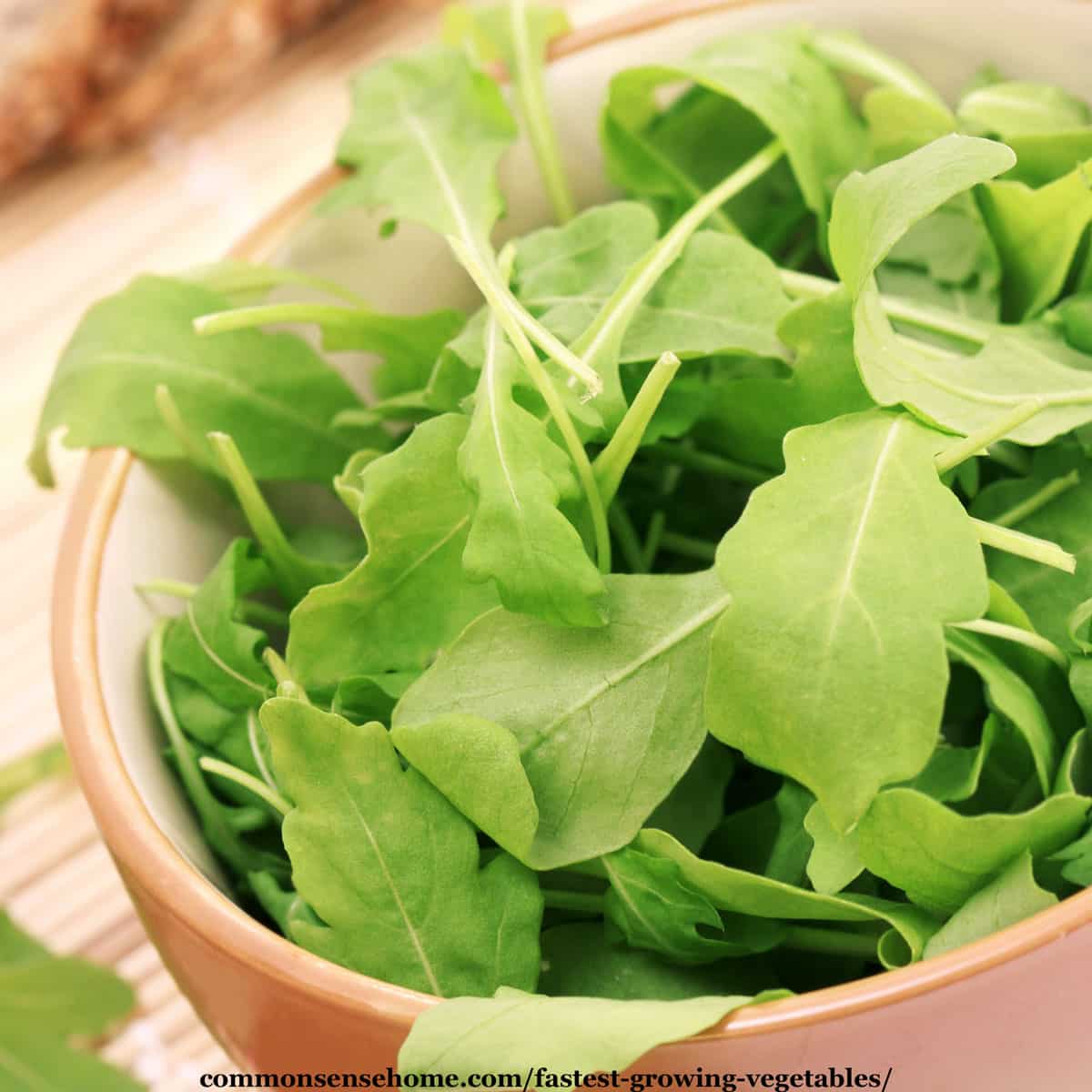 arugula