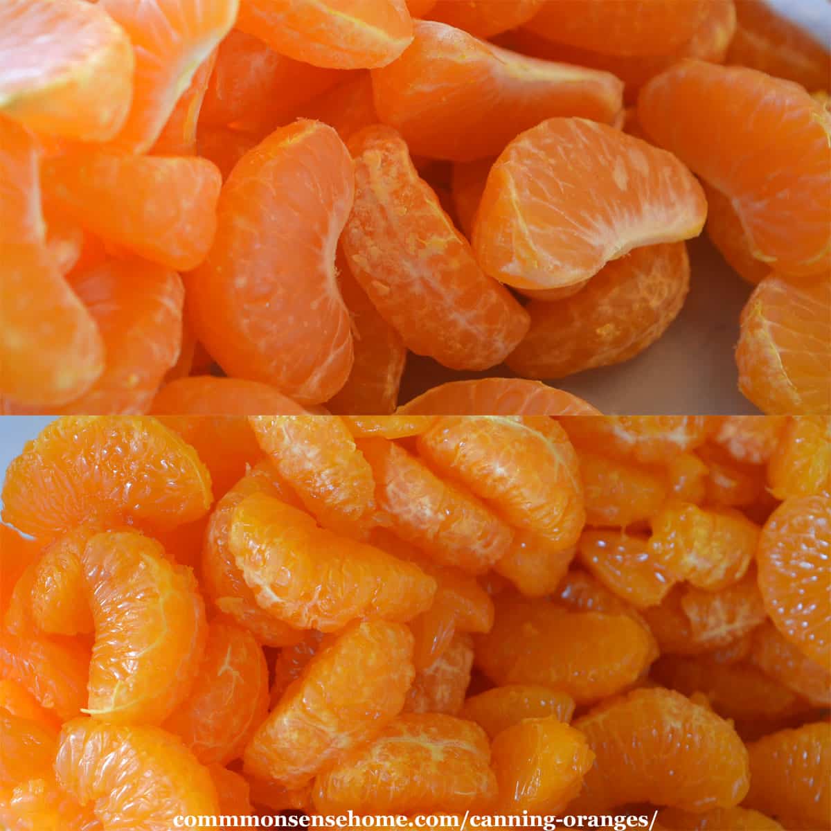 orange segments with and without membranes