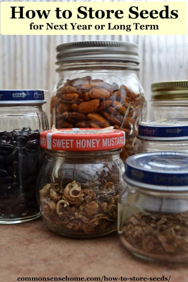 seed storage in glass jars