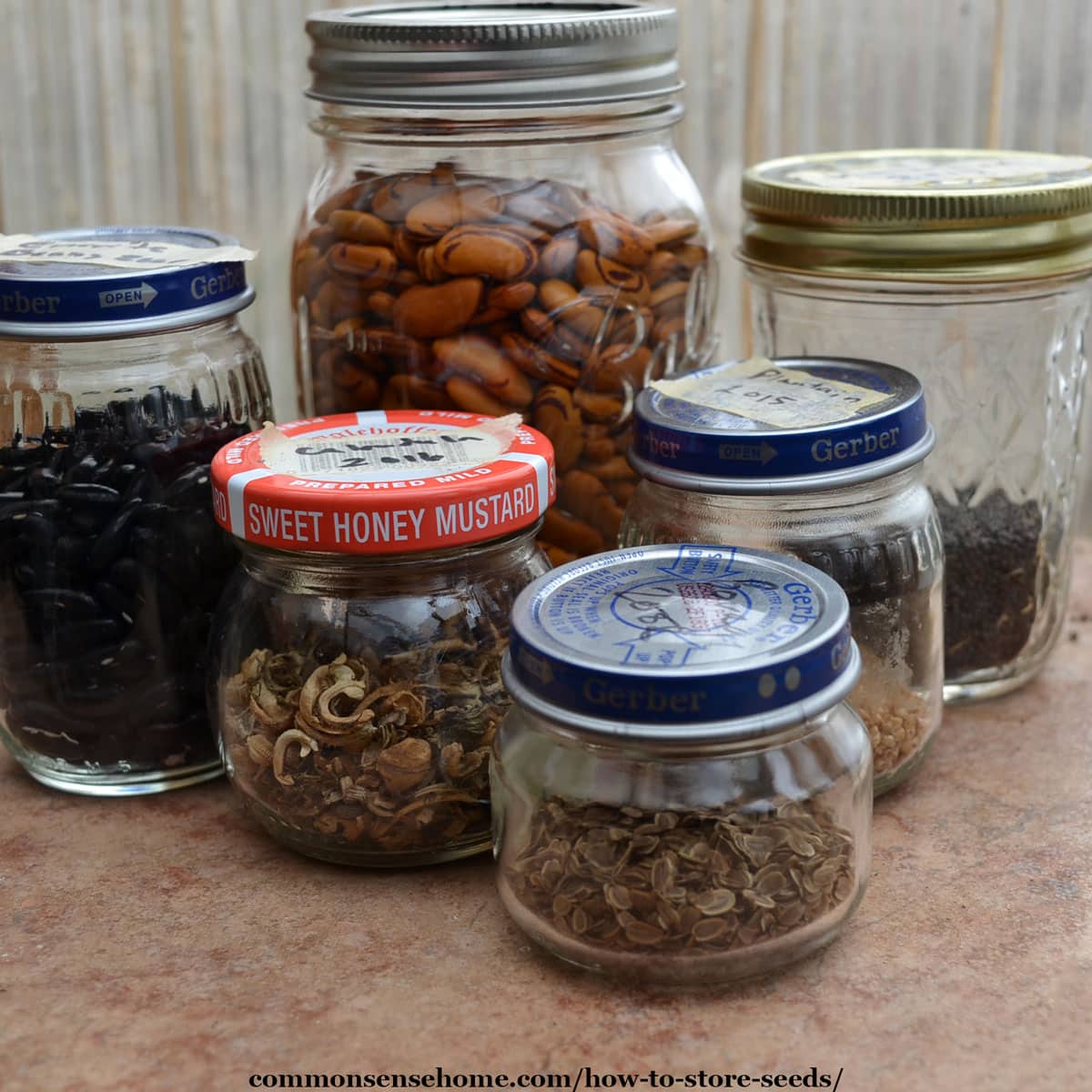 How to Store Vegetable Seeds Long Term - CFSA
