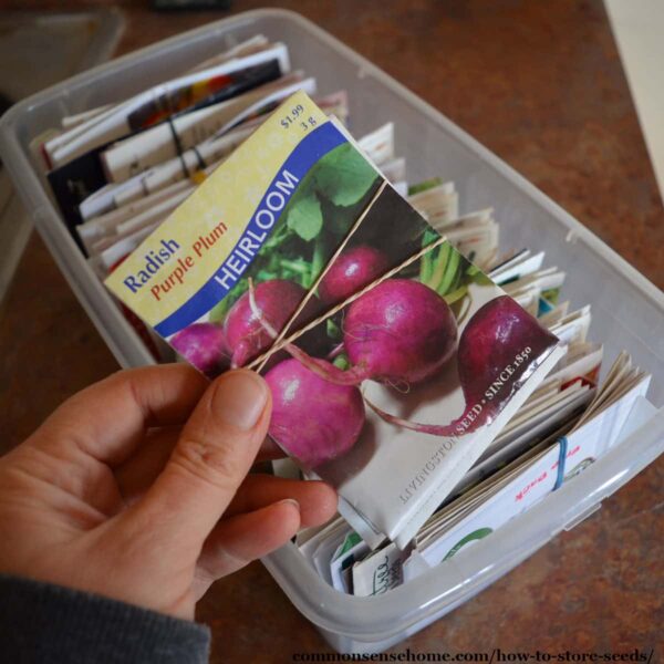 How To Store Seed Packets