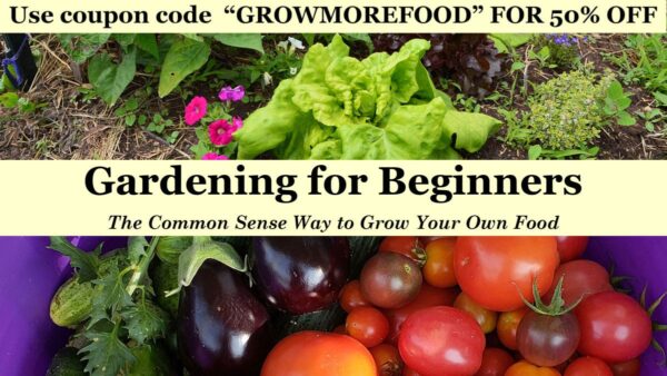 Use coupon code “GROWMOREFOOD” FOR 50% OFF Gardening for Beginners Course