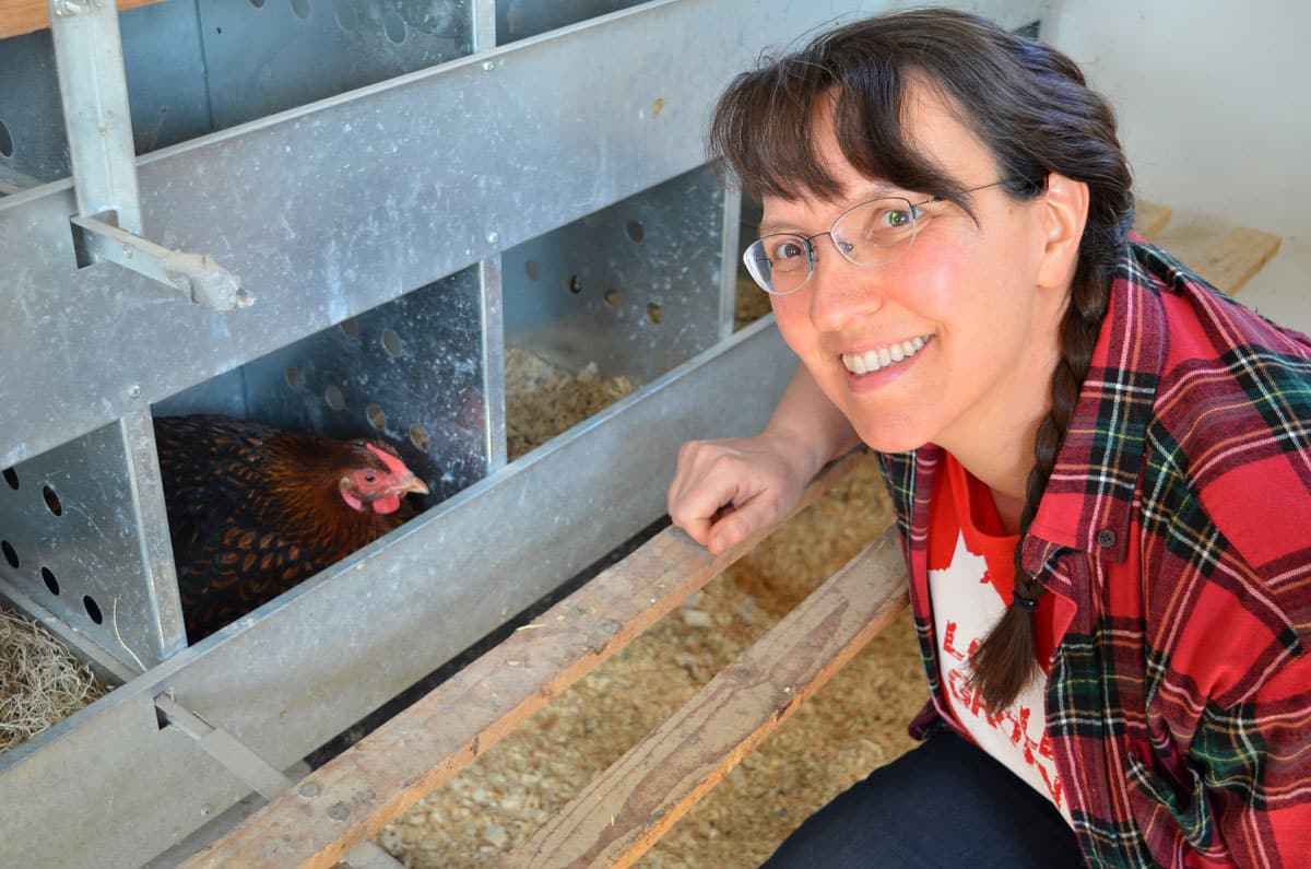 homesteading with chickens