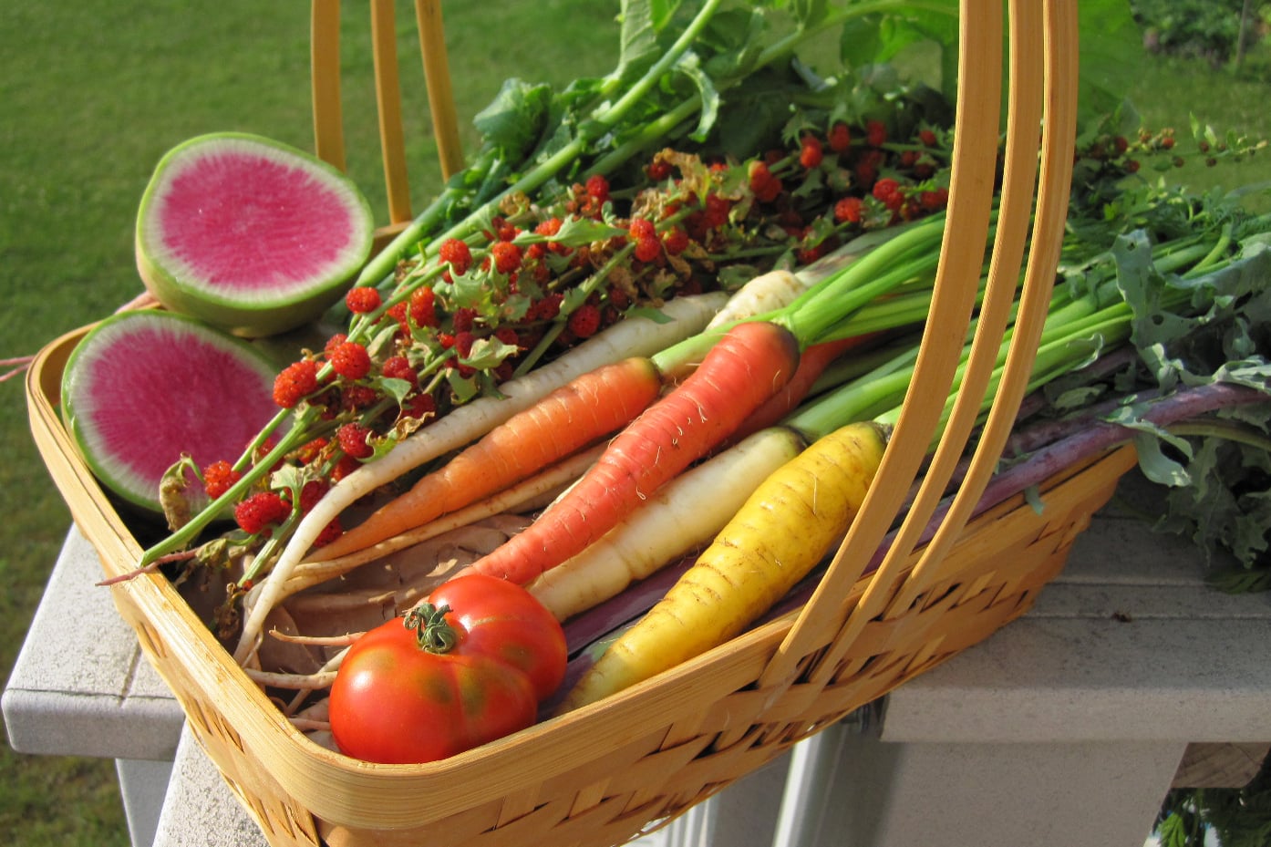 basket of garden produce