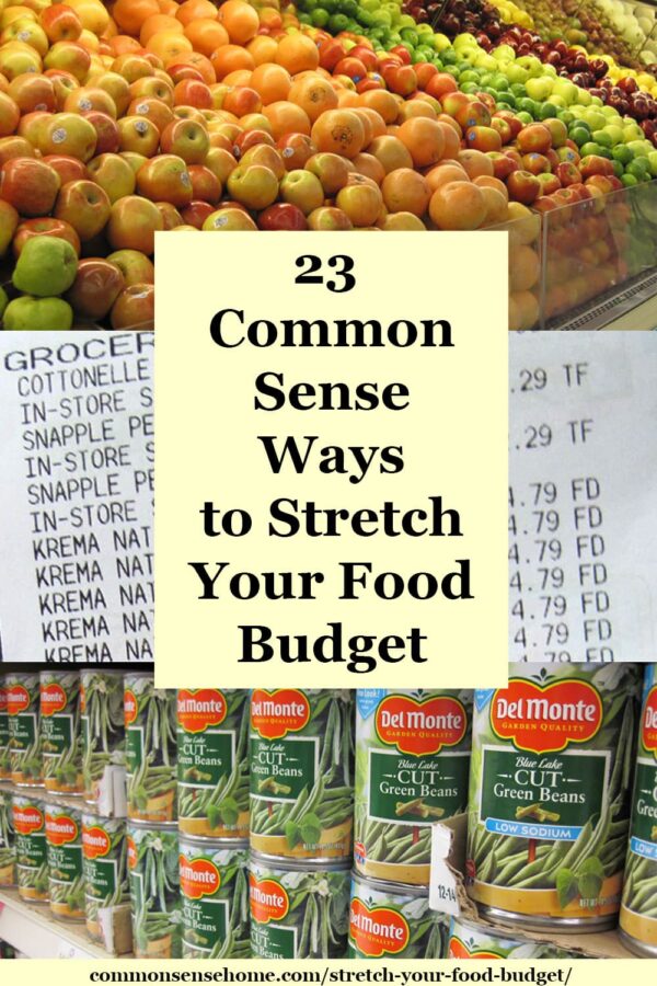 23 Common Sense Ways to Stretch Your Food Budget
