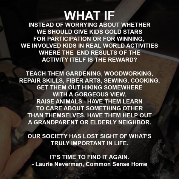 WHAT IF INSTEAD OF WORRYING ABOUT WHETHER WE SHOULD GIVE KIDS GOLD STARS FOR PARTICIPATION OR FOR WINNING, WE INVOLVED KIDS IN REAL WORLD ACTIVITIES WHERE THE END RESULTS OF THE ACTIVITY ITELF IS THE REWARD? TEACH THEM GARDENING, WOODWORKING, REPAIR SKILLS, FIBER ARTS, SEWING, COOKING. GET THEM OUT HIKING SOMEWHERE WITH A GORGEOUS VIEW. RAISE ANIMALS - HAVE THEM LEARN TO CARE ABOUT SOMETHING OTHER THAN THEMSELVES. HAVE THEM HELP OUT A GRANDPARENT OR ELDERLY NEIGHBOR. OUR SOCIETY HAS LOST SIGHT OF WHAT’S TRULY IMPORTANT IN LIFE. IT’S TIME TO FIND IT AGAIN. - Laurie Neverman, Common Sense Home