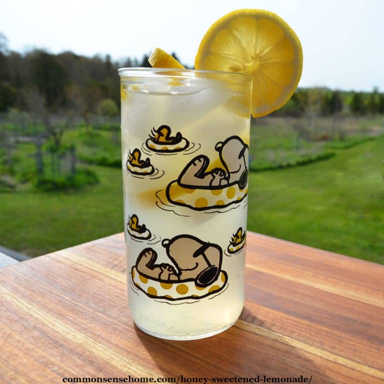 Honey Sweetened Lemonade (with Tips for Using Lemony Herbs)