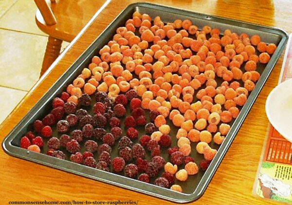 fresh read and yellow raspberries on a baking sheet