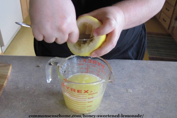 juicing lemons without a juicer