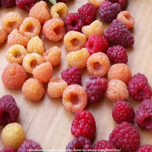 red and yellow raspberries