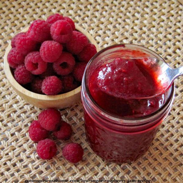 spoonful of seedless, low sugar raspberry jam