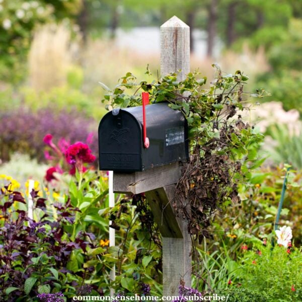 The Letter Box, Book by Mark and Diane Button