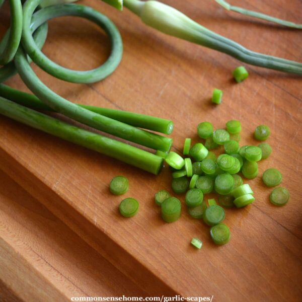 finely chopped garlic scapes