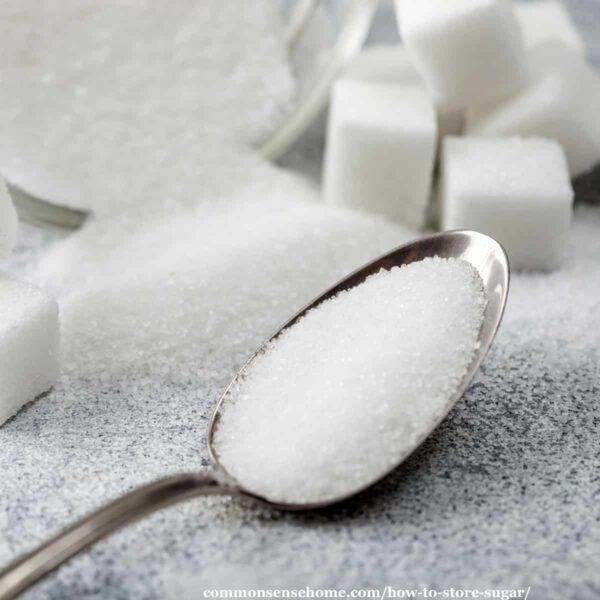 How to Store Sugar Long Term & Keep the Bugs Out 